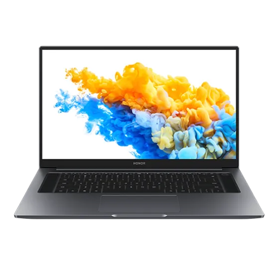 Замена вебкамеры Honor X14 2023 FRIF56